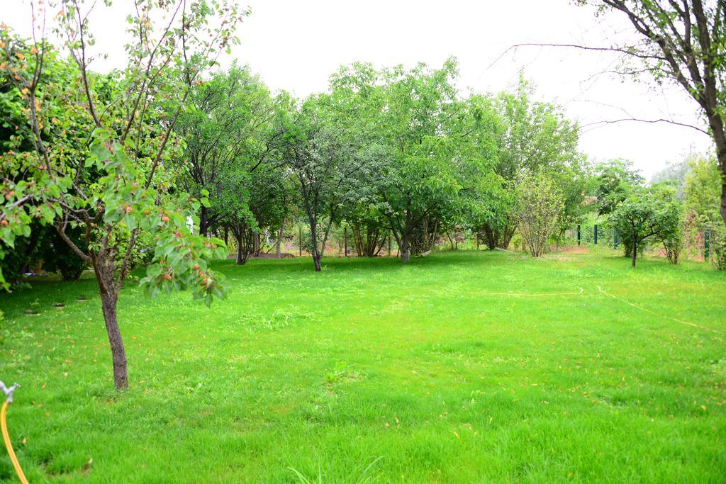 فندق Casa Bella & Nova Palić المظهر الخارجي الصورة